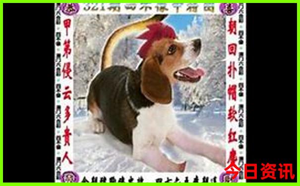 平江附近自驾游景点